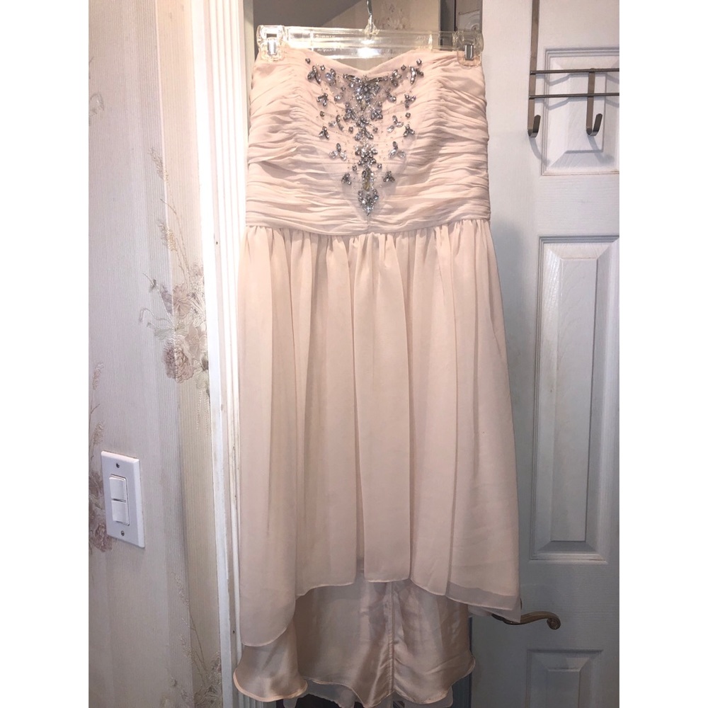 Blush Strapless Dress